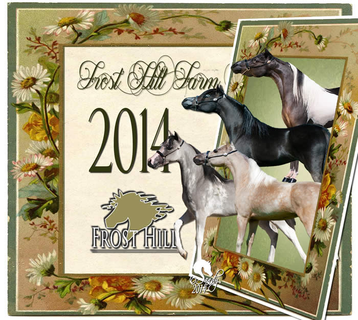 Frost Hill Farm Miniature Horses