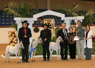 get of sire 2009 world champions