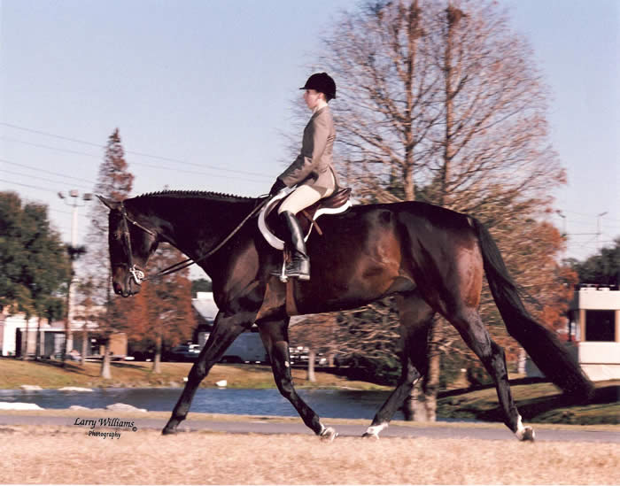 Photo Gallery of Frost Hill Farm Miniatures