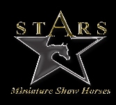 Stars Miniatures Logo