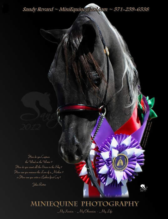 Contact Frost Hill Farm